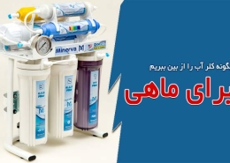 چگونه کلر آب را از بین ببریم برای ماهی